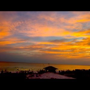 Meet your Posher, Amelia